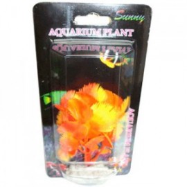 *PLANTA S. BLISTER 10 CM.